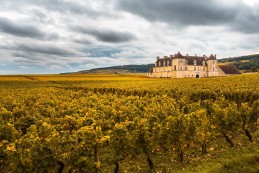 Côte de Nuits